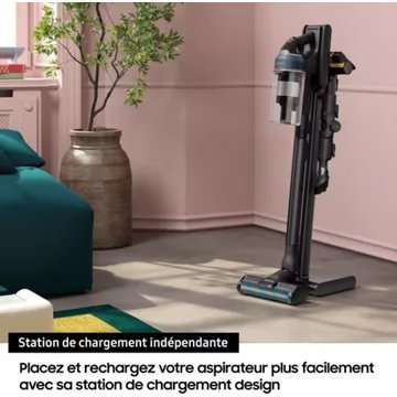 Aspirateur balai SAMSUNG Jet 95 Pet 2 Batteries VS20C95D2TK